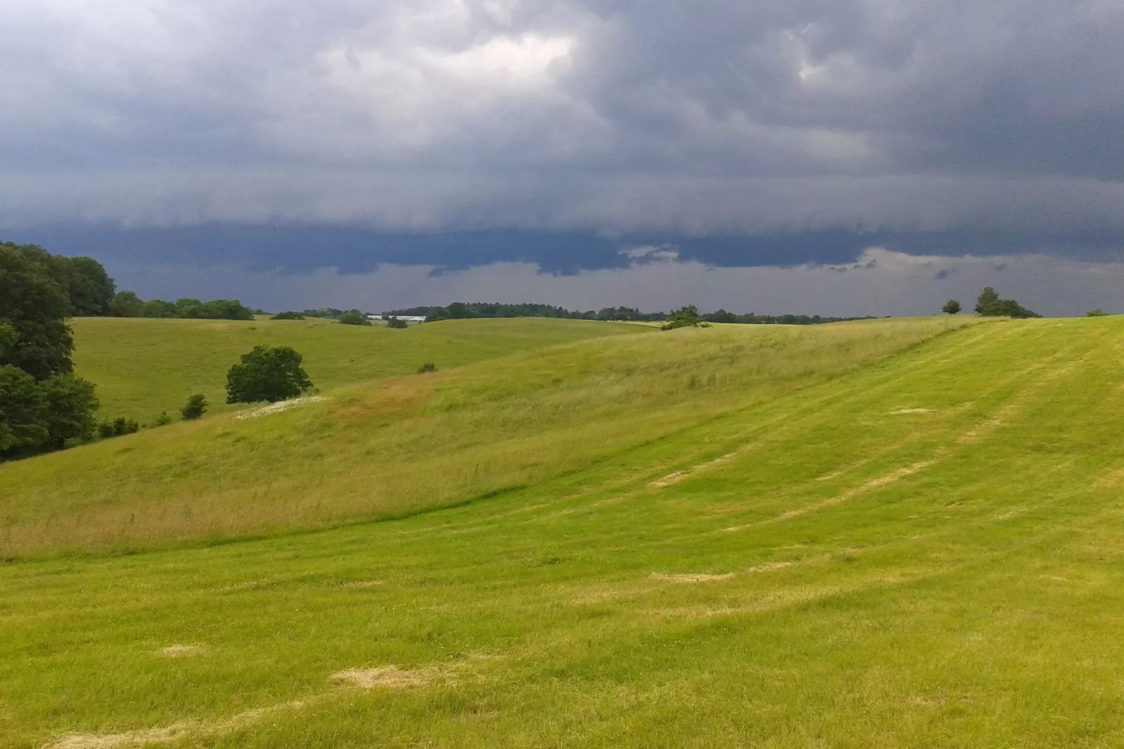 Am Haflingergestüt-Gebieden zomer 1km