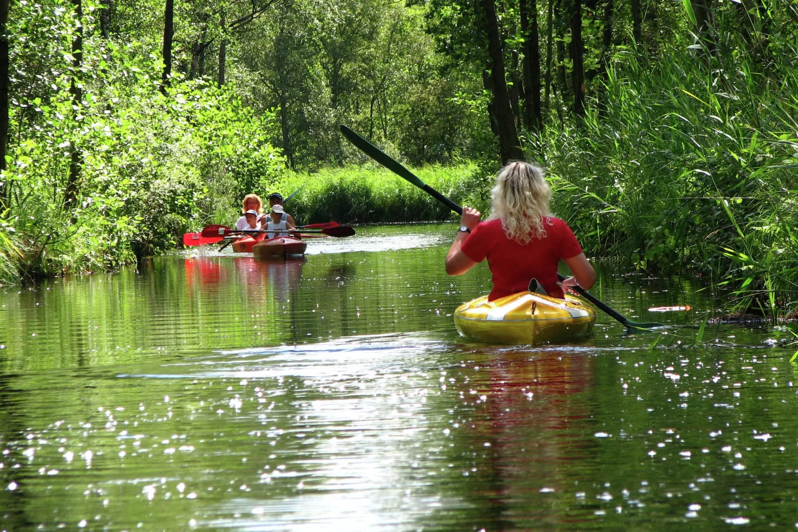 Residence de Eese 11-Gebieden zomer 20km