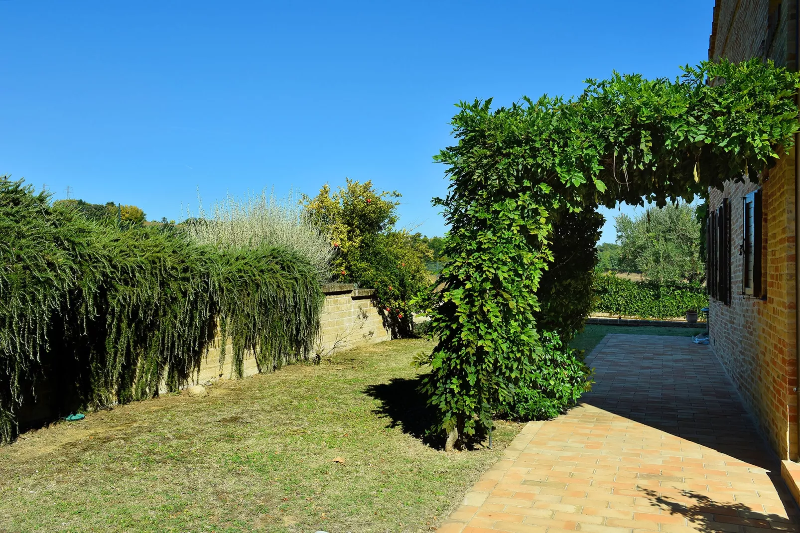 Villa Poggio San Giacomo-Tuinen zomer