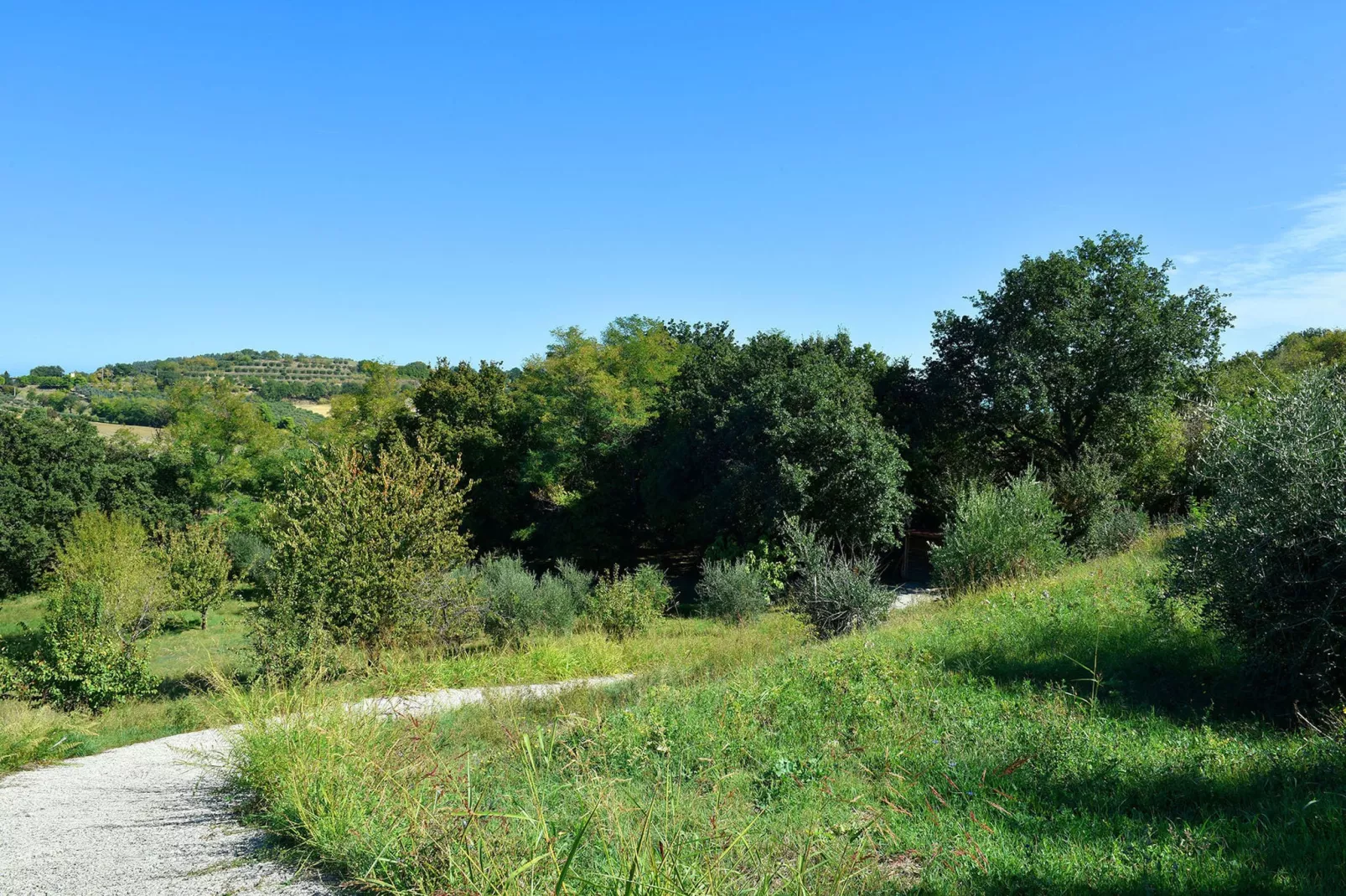 Villa Poggio San Giacomo-Gebieden zomer 1km