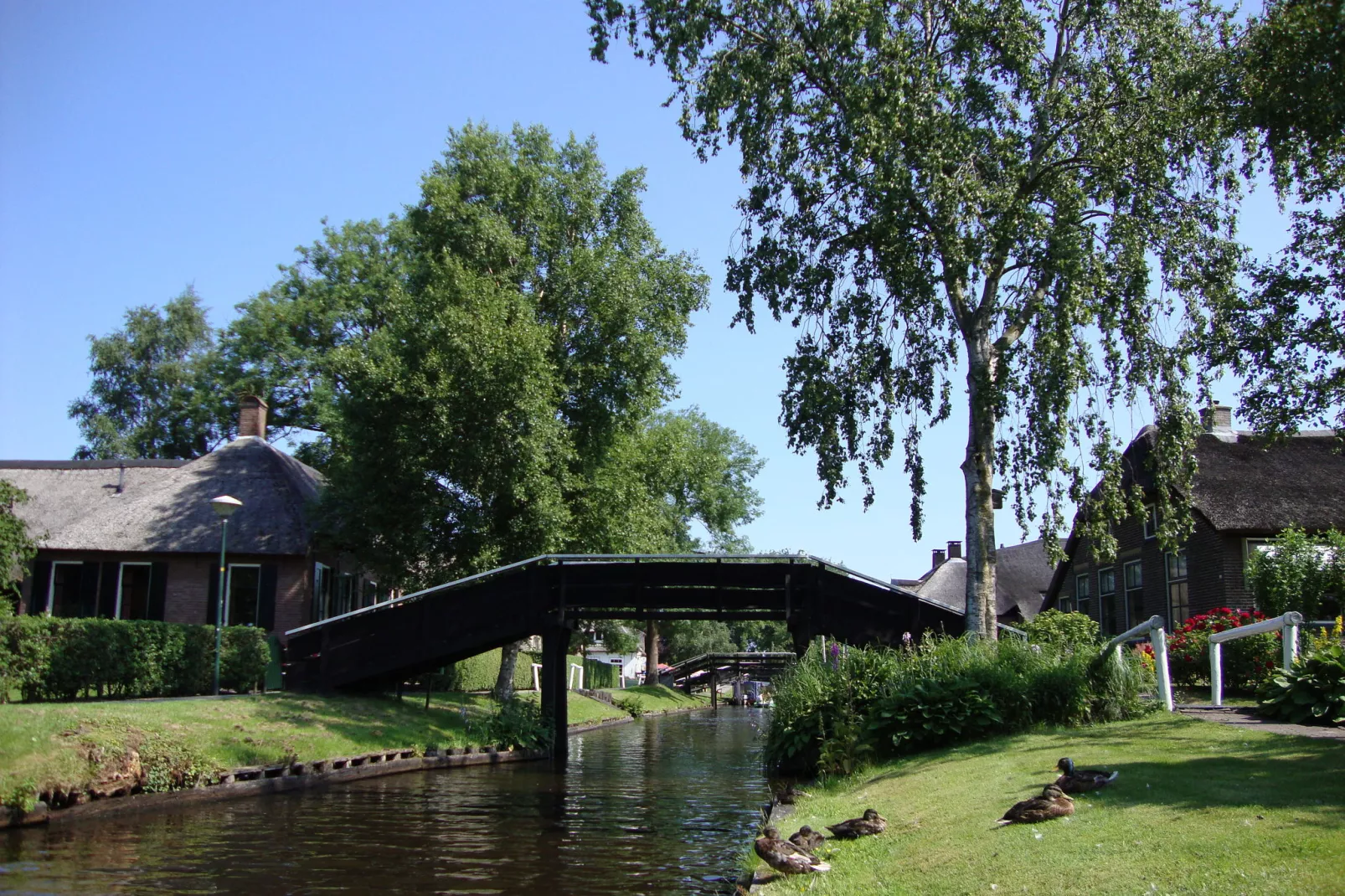 Residence de Eese 21-Gebieden zomer 20km