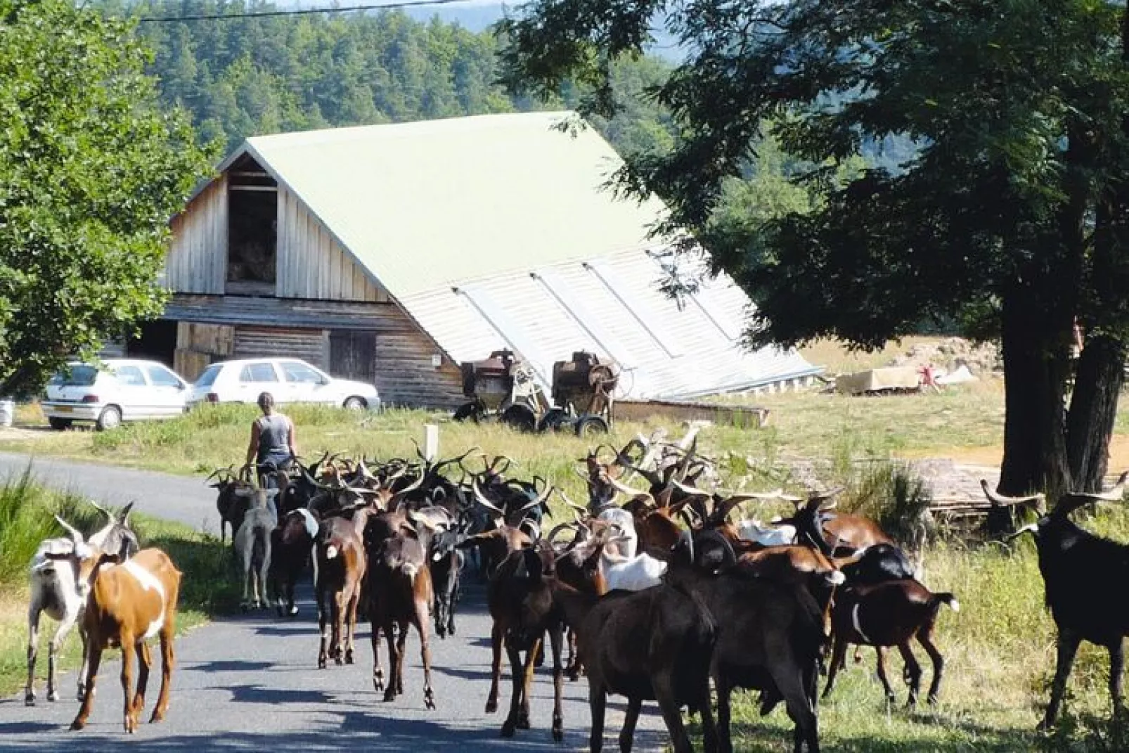 Ferienwohnung in Retournac-Gebieden zomer 5km