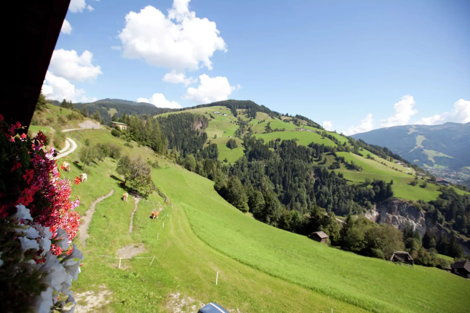 Durchholzhof-Uitzicht zomer