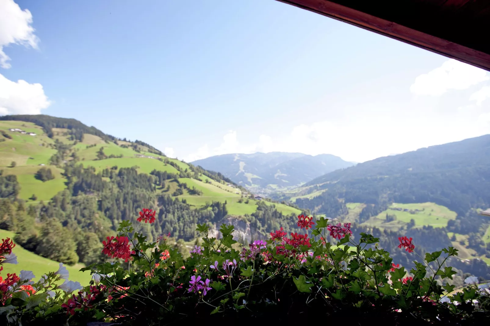 Durchholzhof-Uitzicht zomer