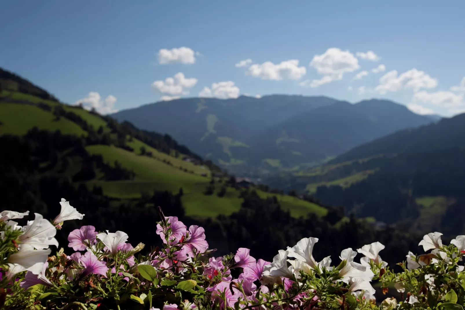 Durchholzhof-Uitzicht zomer