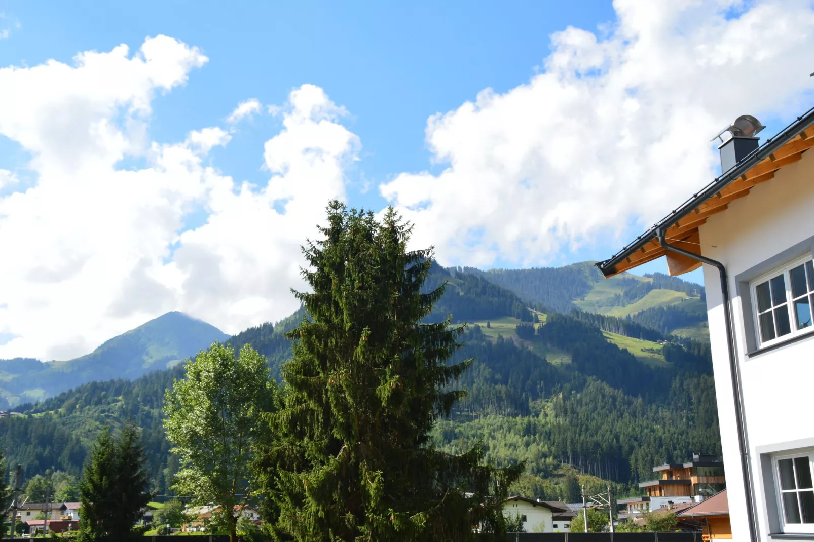 Residenz Edelalm Appartement 5-Uitzicht zomer