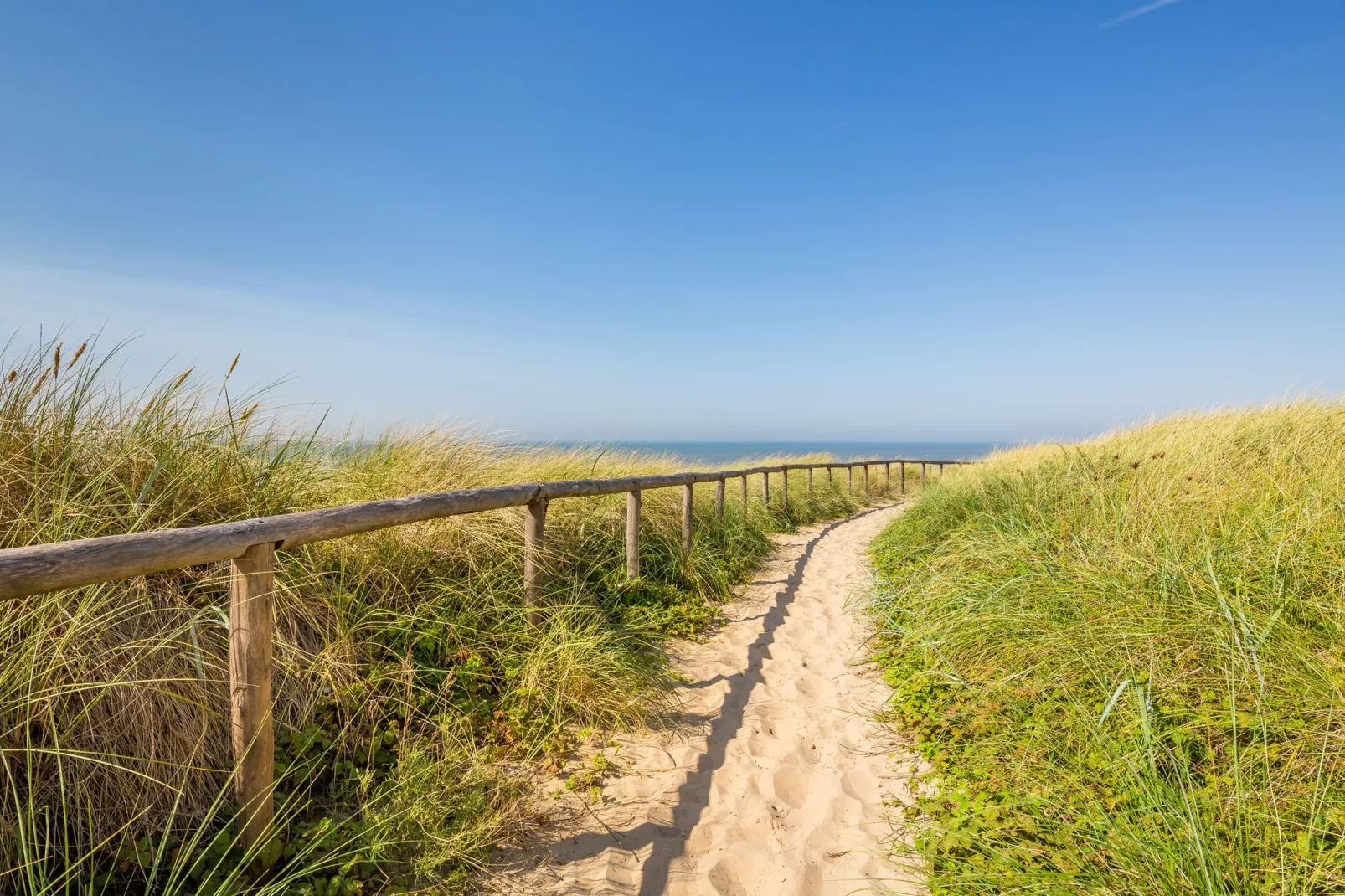 Residentie de Graaf van Egmont 11-Gebieden zomer 1km