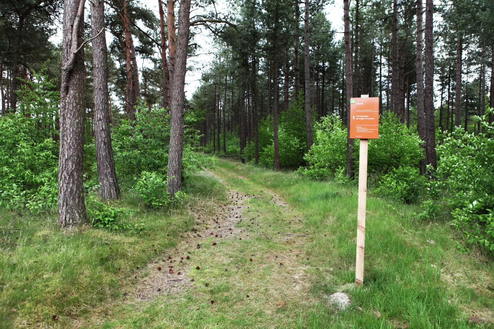 De grove den-Gebieden zomer 5km