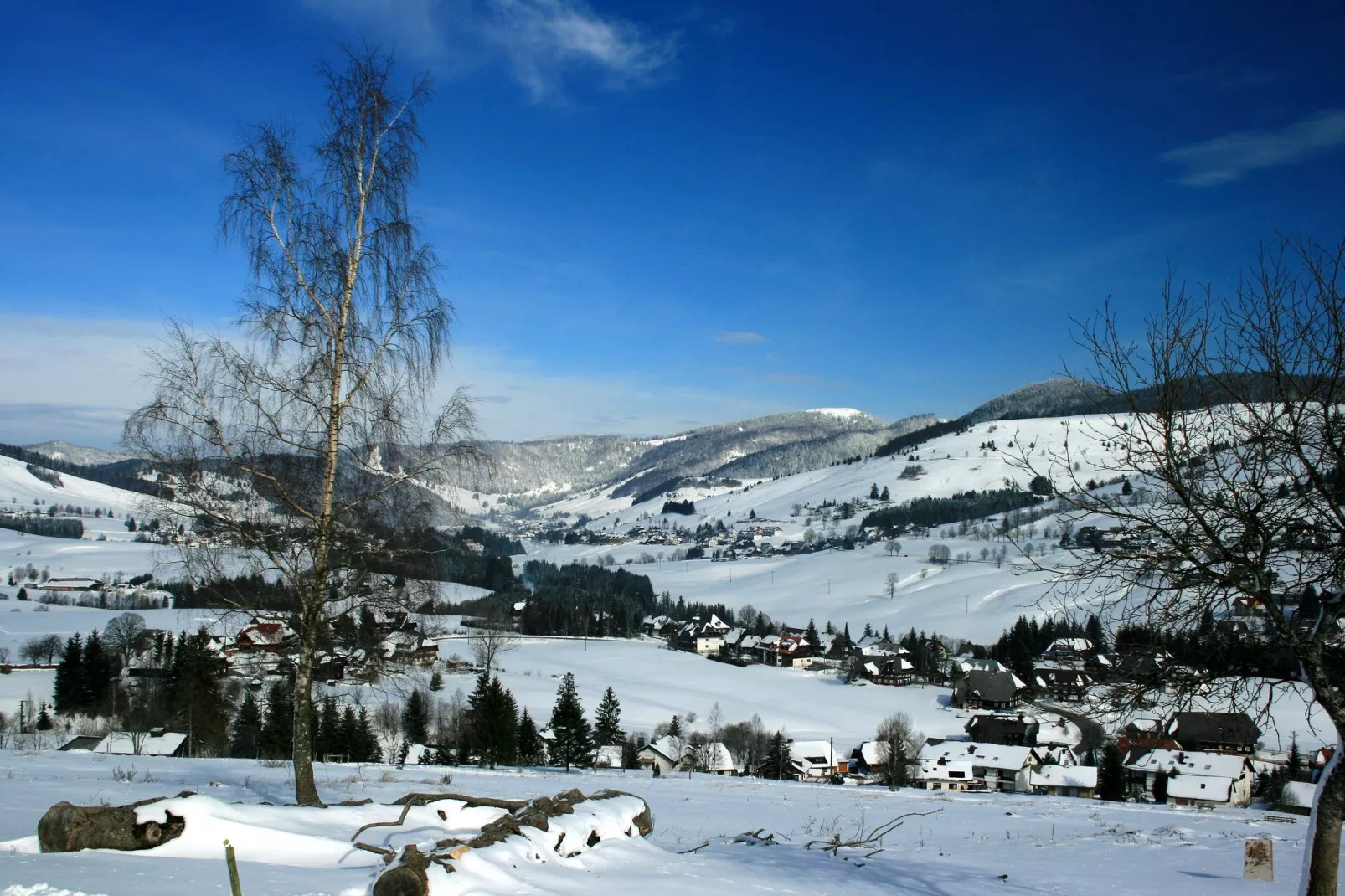 Isidor-Gebied winter 20km