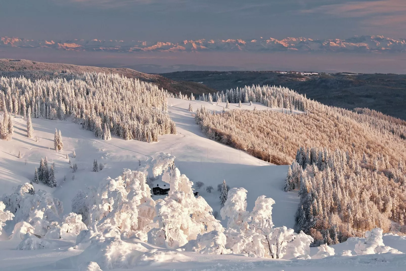 Isidor-Gebied winter 20km