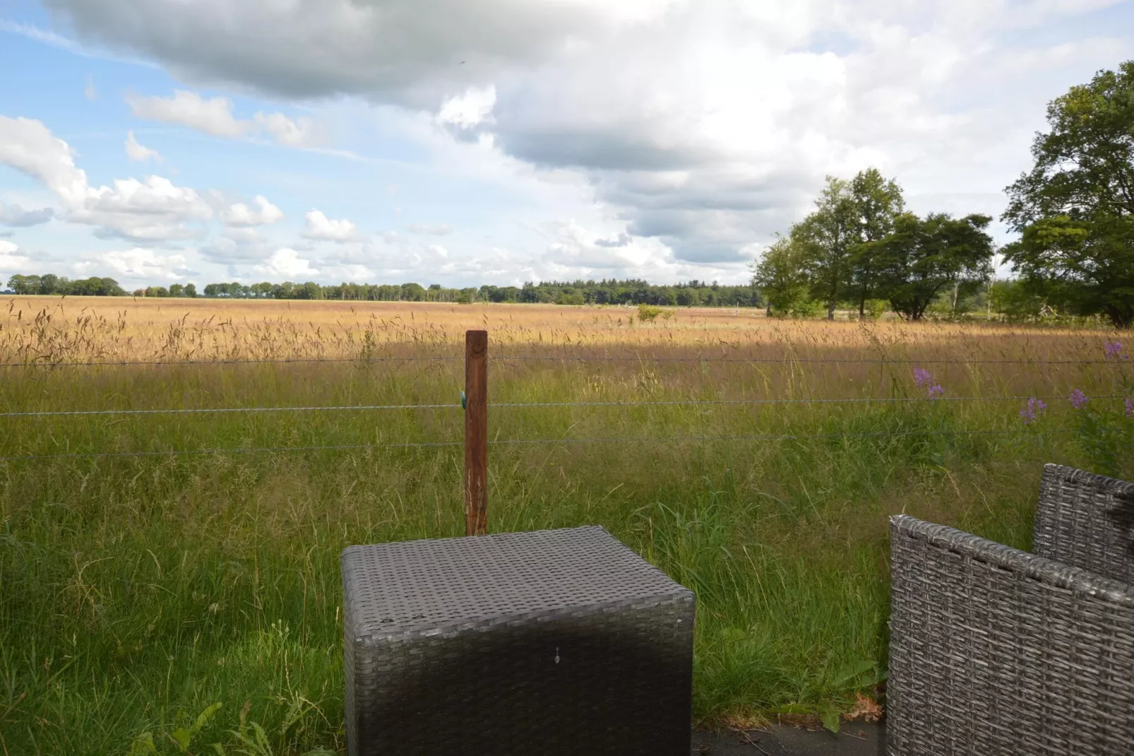 Buitenplaats Berg en Bos nummer 15-Uitzicht zomer