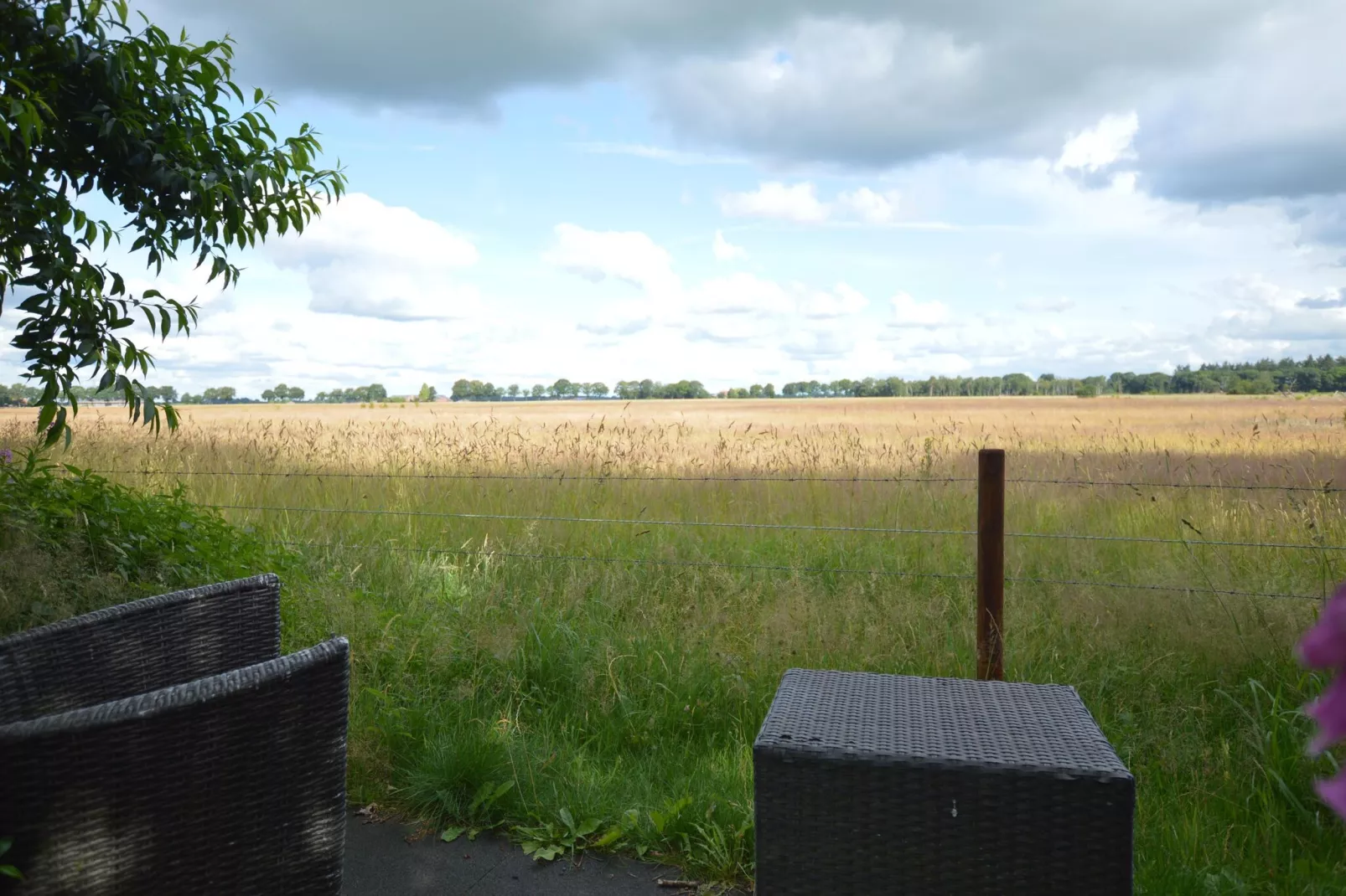 Buitenplaats Berg en Bos nummer 15-Uitzicht zomer