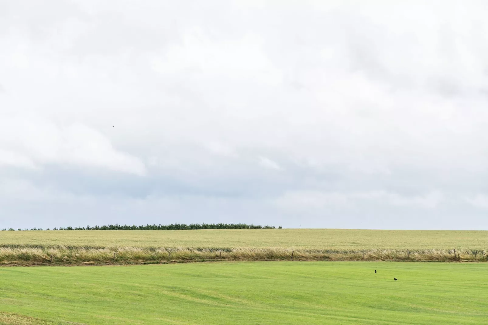 Hoeve de Drogenberg-Gebieden zomer 5km