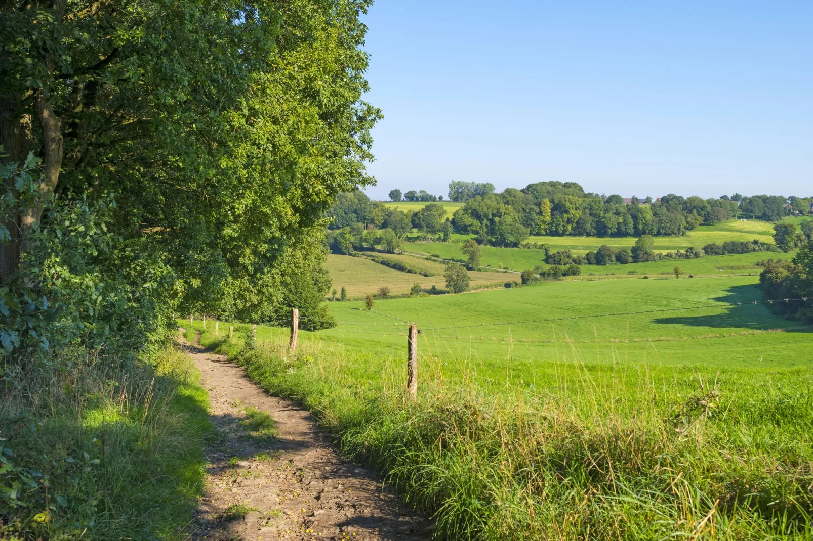 Resort Mooi Bemelen 2-Gebieden zomer 5km