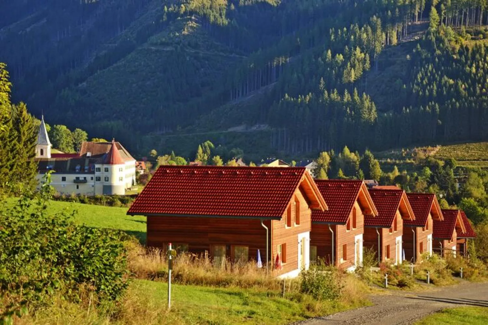 Ferienpark Gaal - Steiermark-Buitenkant zomer