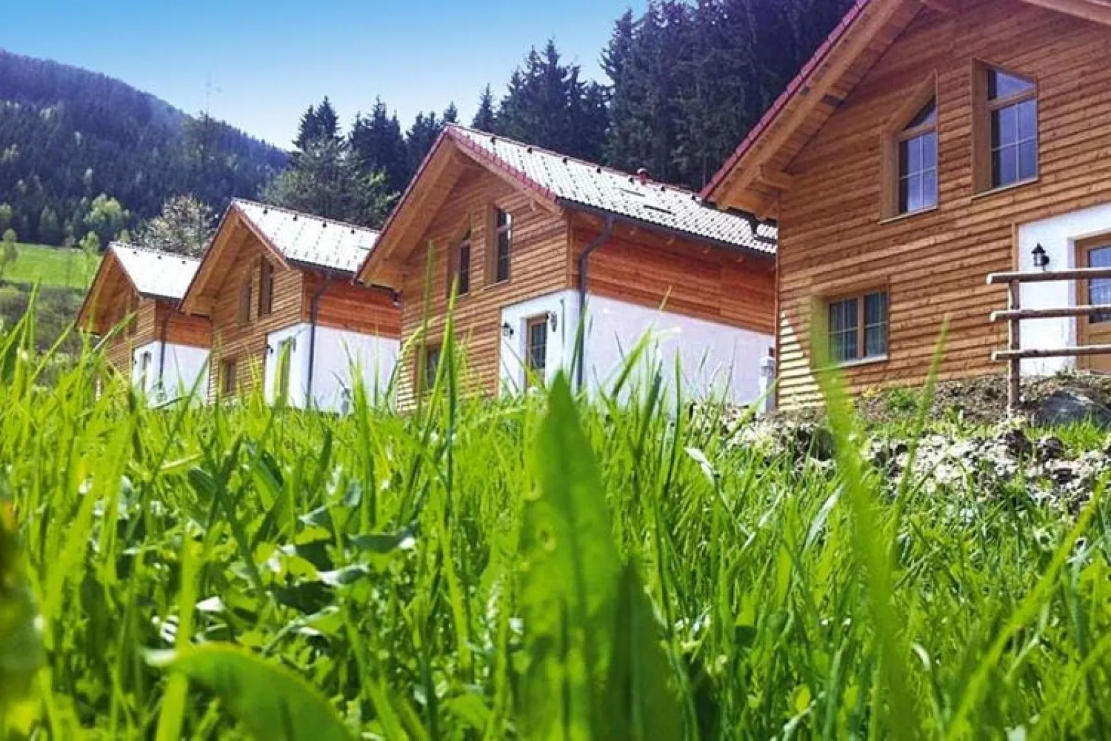 Ferienpark Gaal - Steiermark-Buitenkant zomer