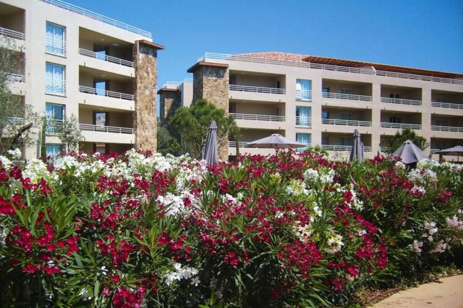 Residence Salina Bay Porto-Vecchio // F3 - 6 pers- côté jardin-Buitenkant zomer