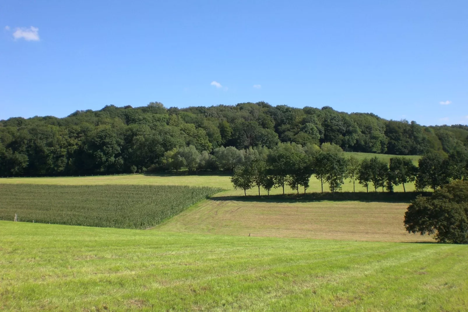 Hoeve A Gen Water - Botterblumke-Gebieden zomer 1km