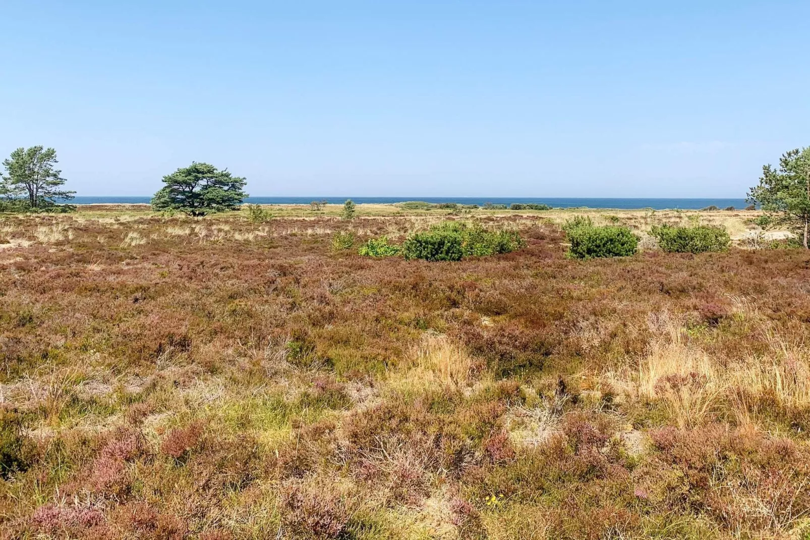 6 persoons vakantie huis in Læsø-Uitzicht