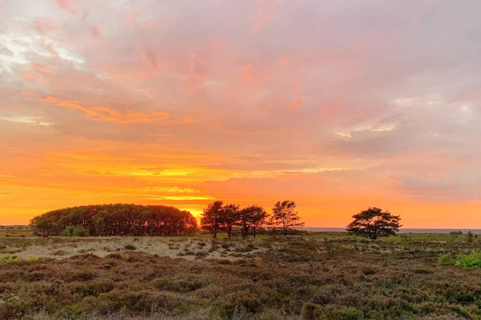 6 persoons vakantie huis in Læsø-Uitzicht