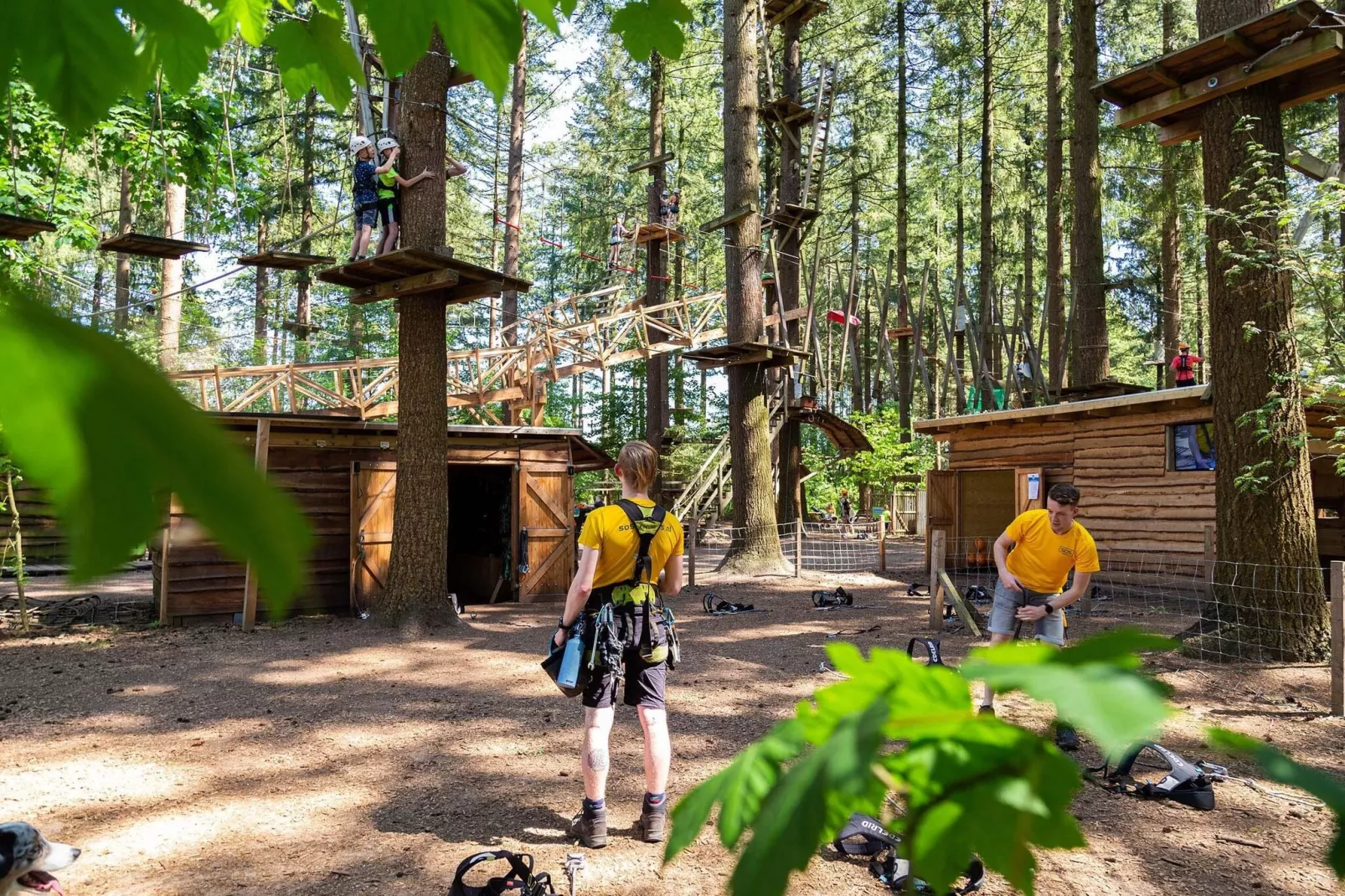 Resort Veluwe 4-Gebieden zomer 5km