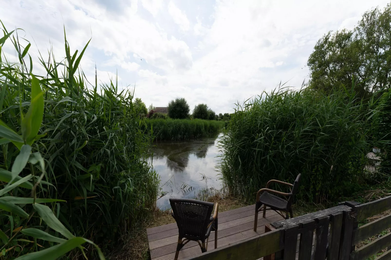 Buitenplaats Enjoy-Uitzicht zomer