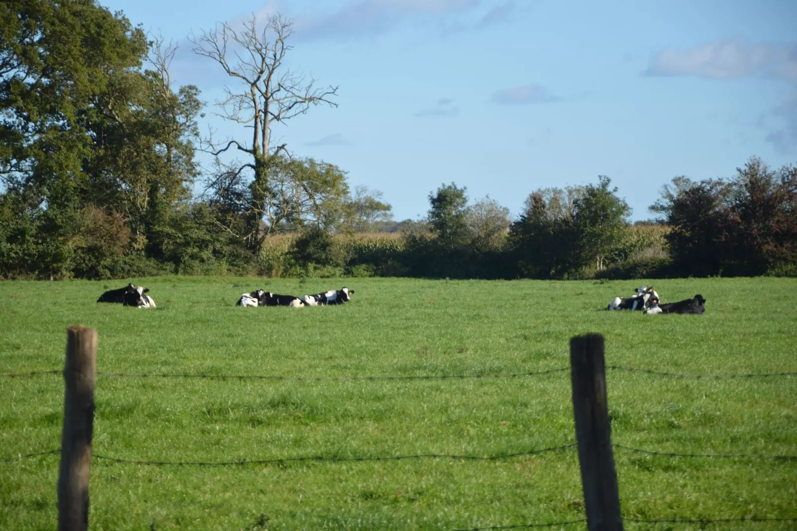 Ferme du Hoguet-Uitzicht zomer