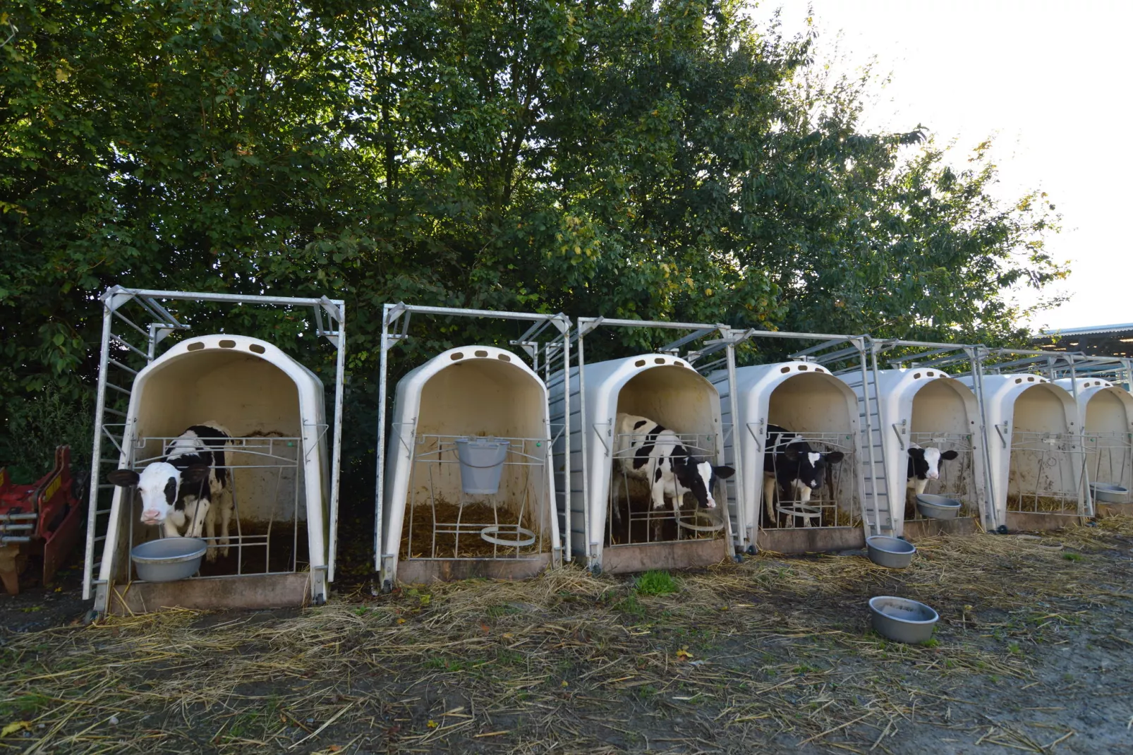 Ferme du Hoguet-Gebieden zomer 1km