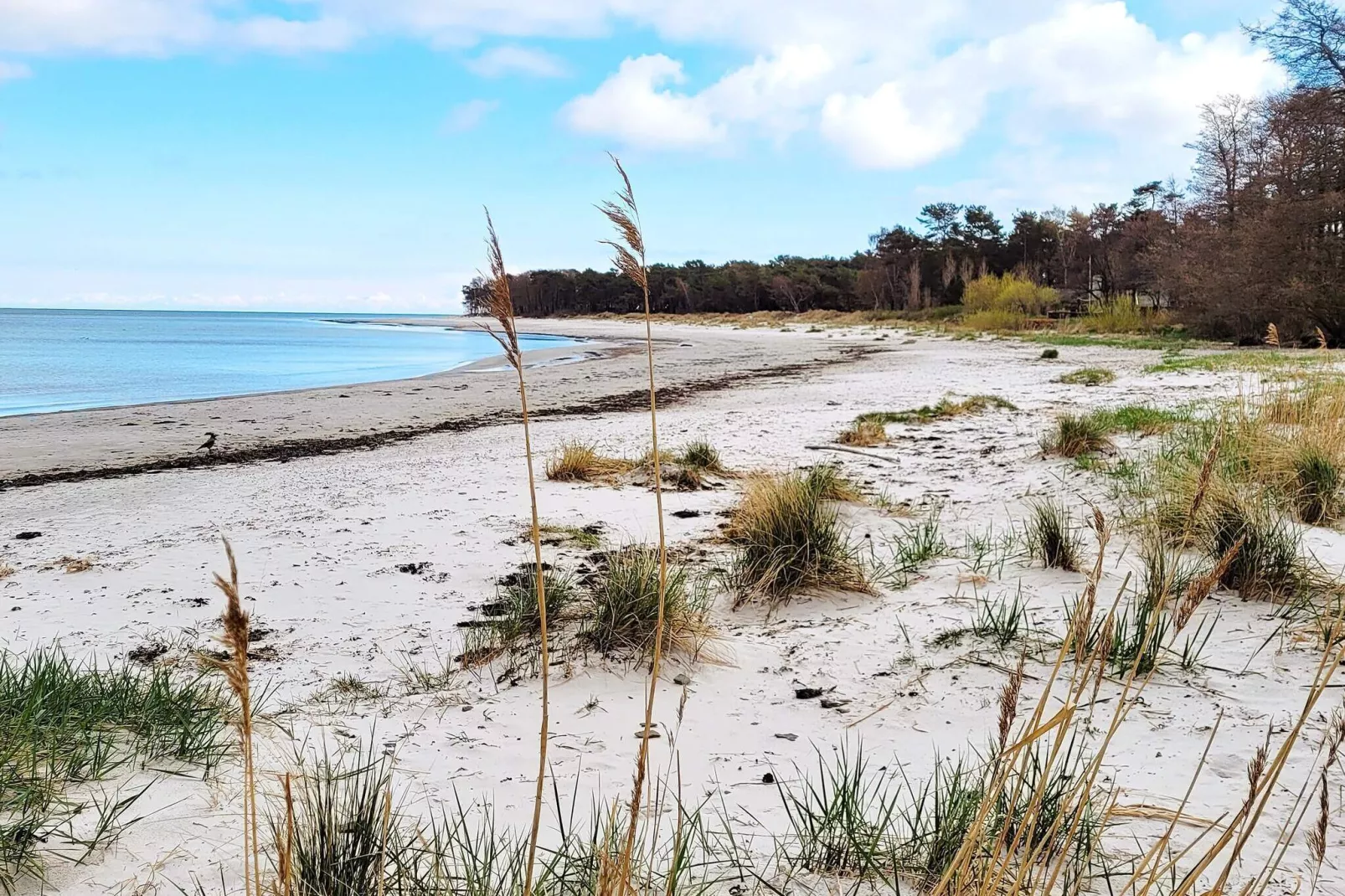 8 persoons vakantie huis in Nexø-Buitenlucht