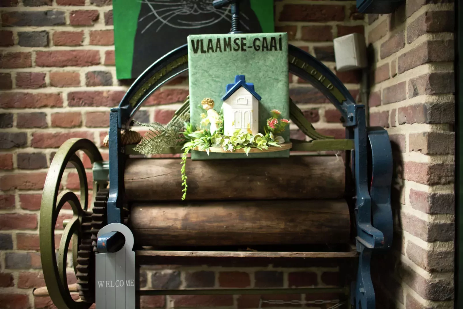 Vlaamse Gaai-Sfeer