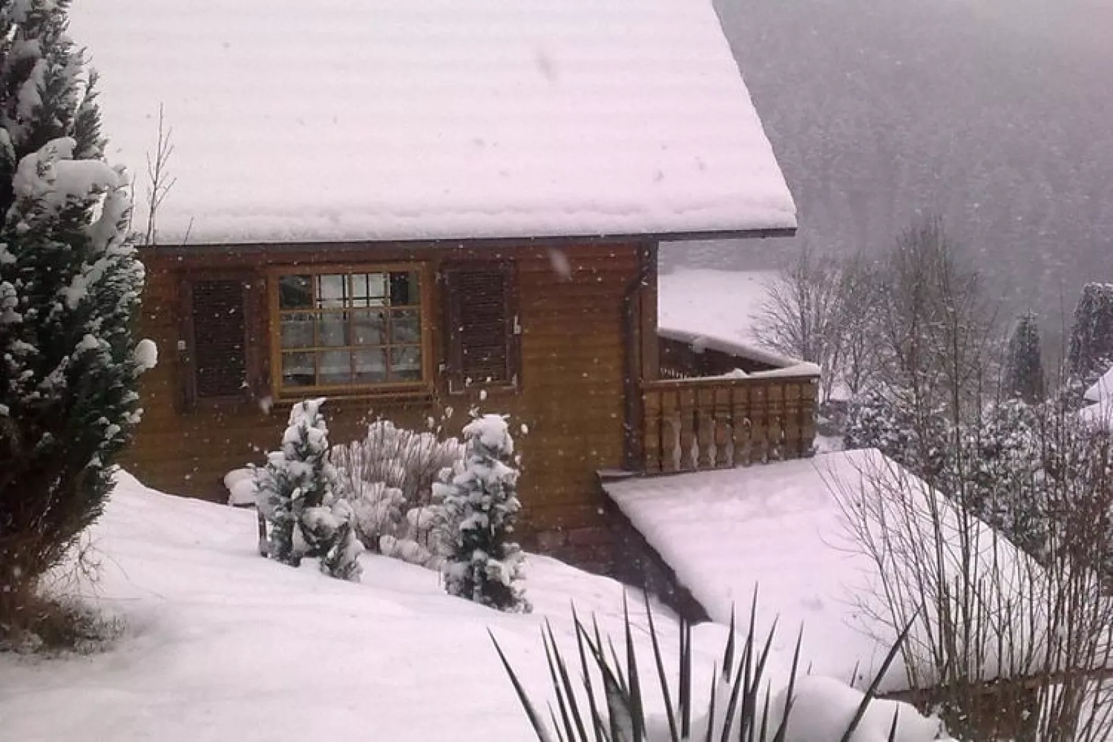 Vrijstaande vakantiewoning in het Zwarte Woud met sauna-Exterieur winter