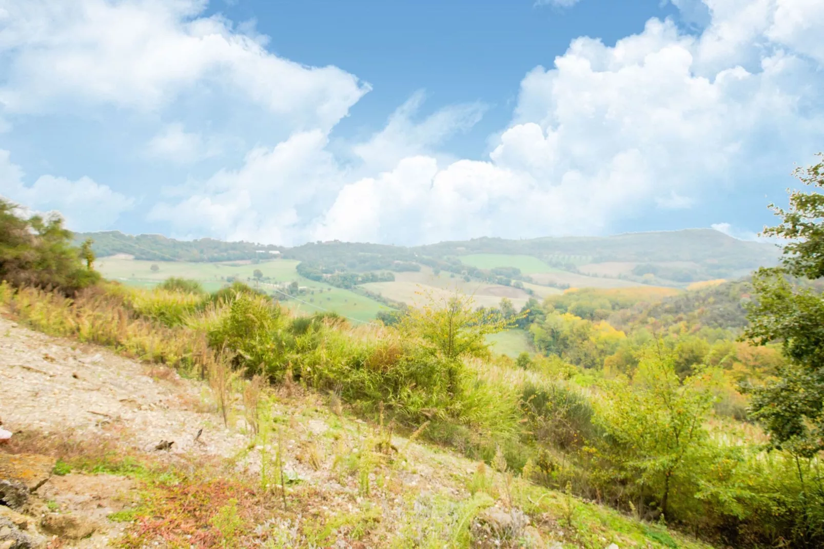 Il Belvedere-Gebieden zomer 5km