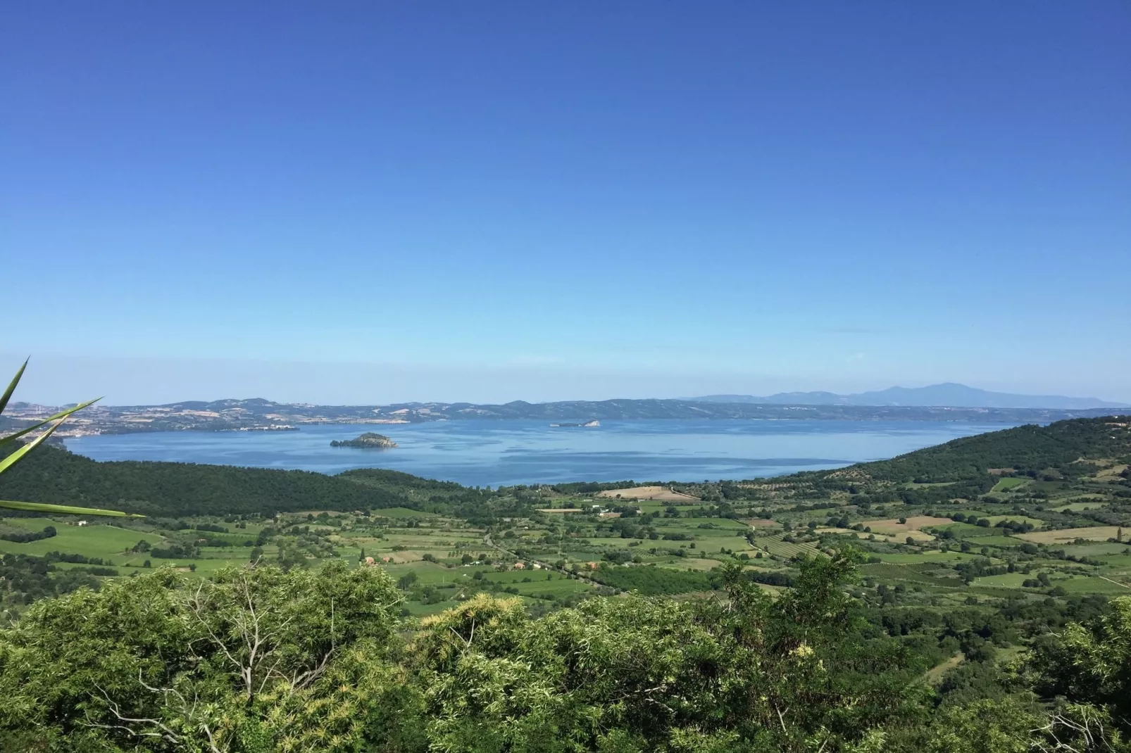 Castagneto-Gebieden zomer 1km