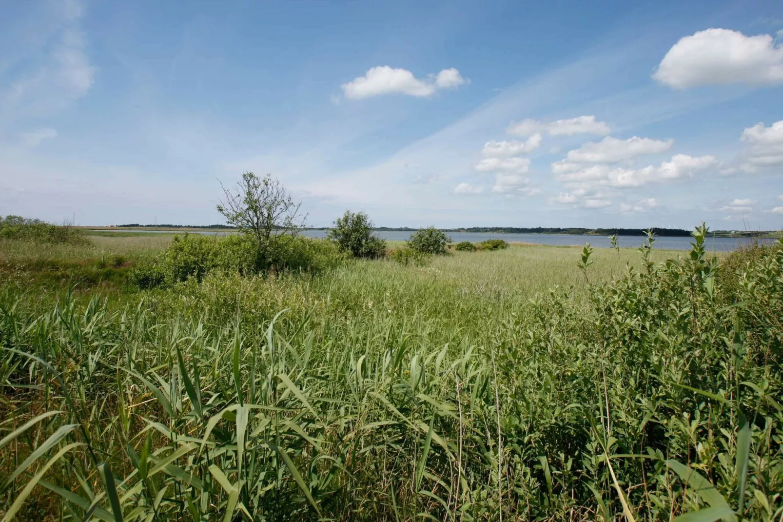 6 persoons vakantie huis in Thyholm-Waterzicht