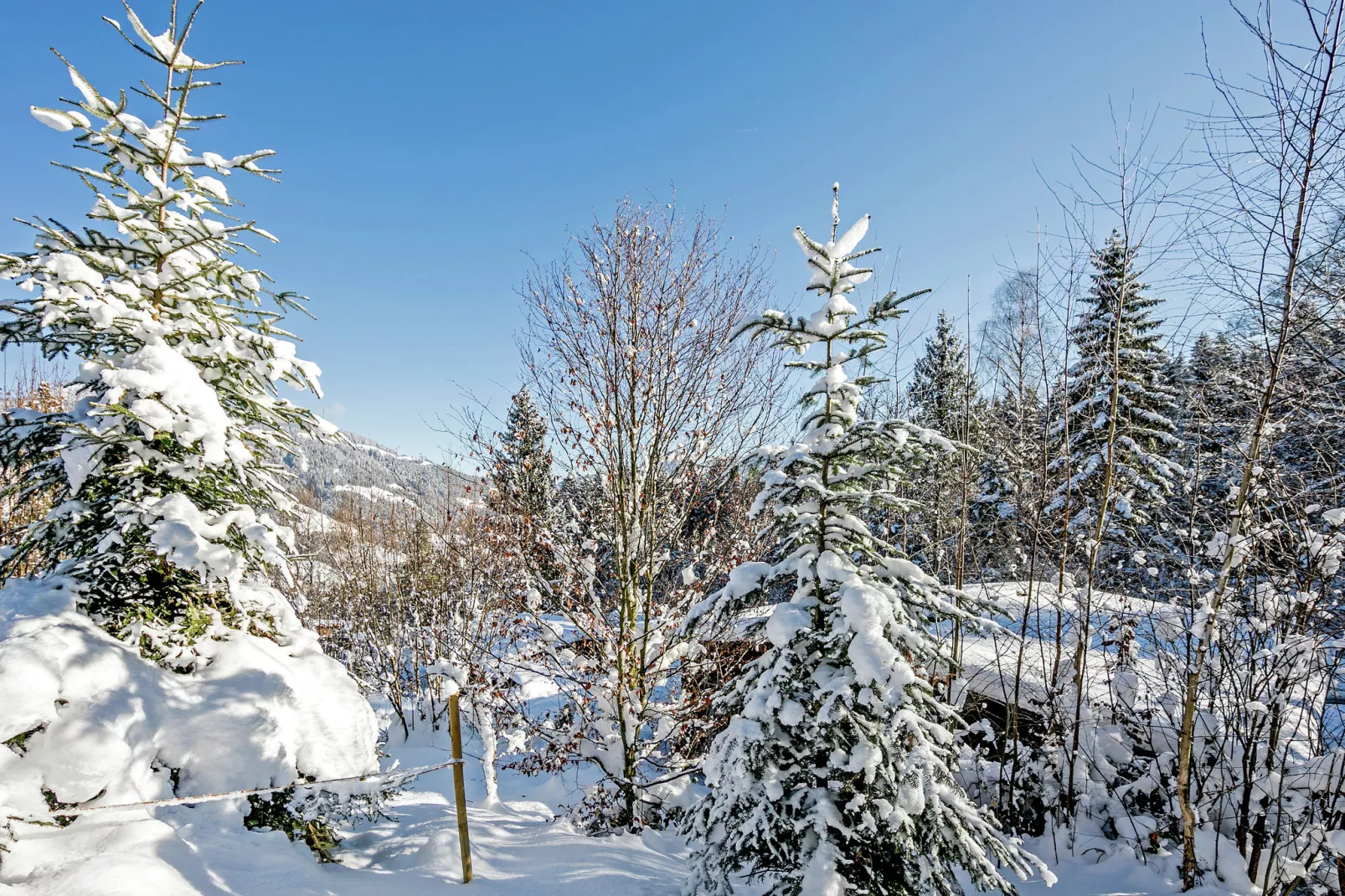 Chalet Yosi im Brixental-Uitzicht winter