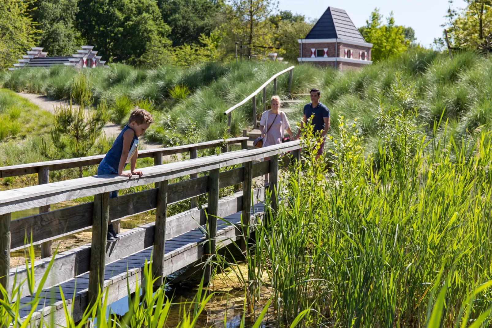 Resort Zuiderzee 2-Gebieden zomer 1km