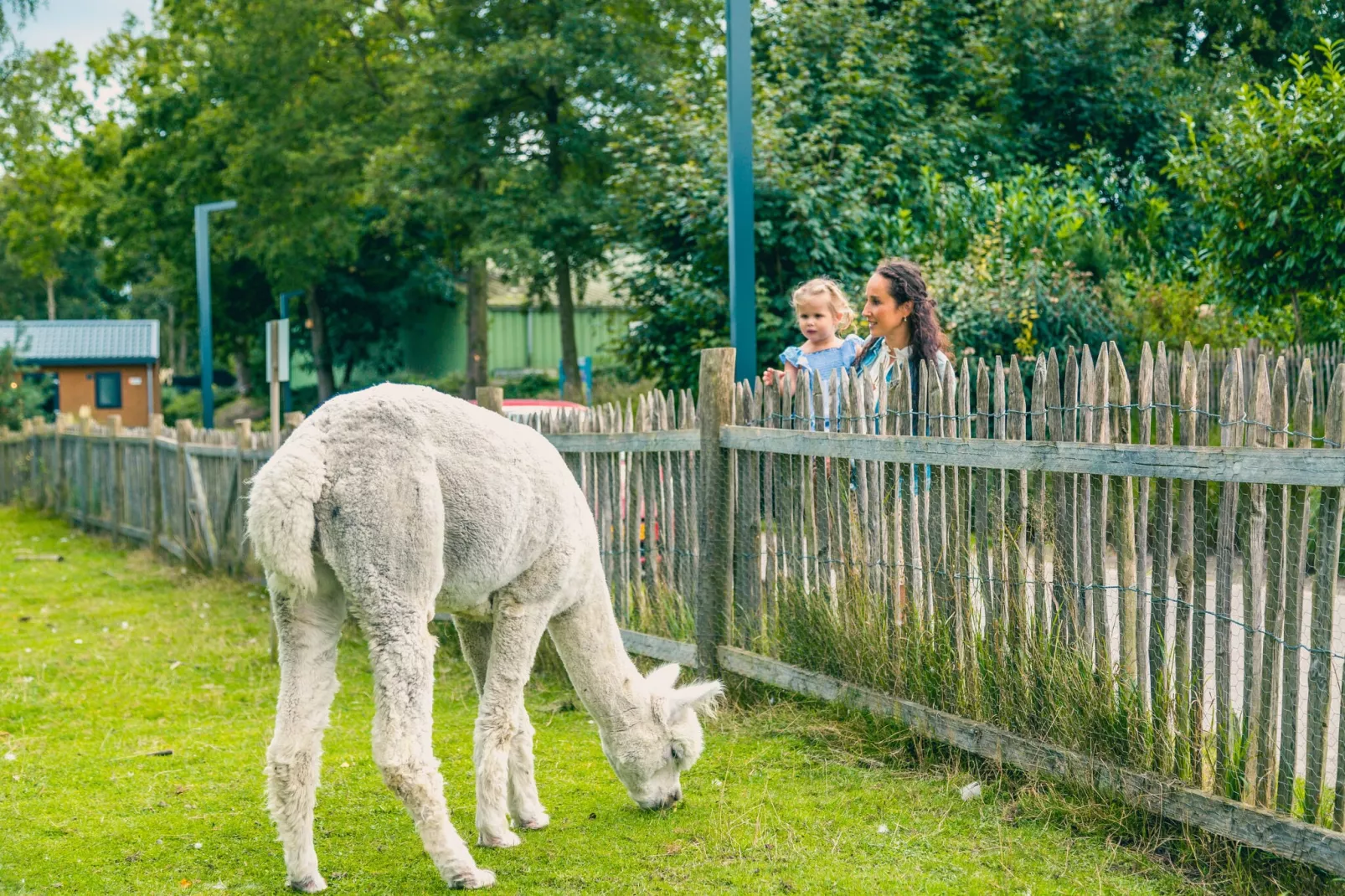 Resort Zuiderzee 12-Parkfaciliteiten