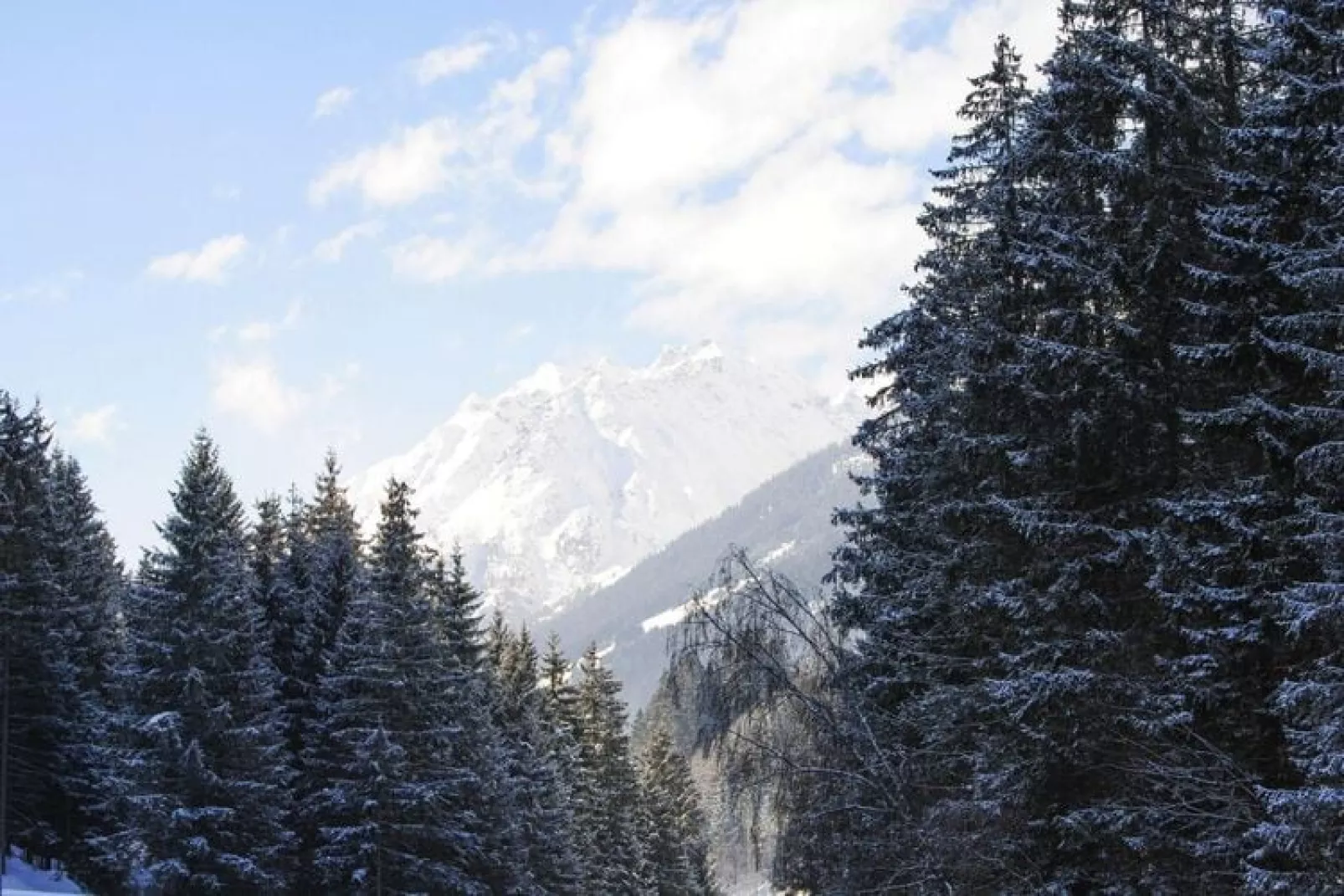 Val Sinestra - Typ B - 4 Personen-Uitzicht winter