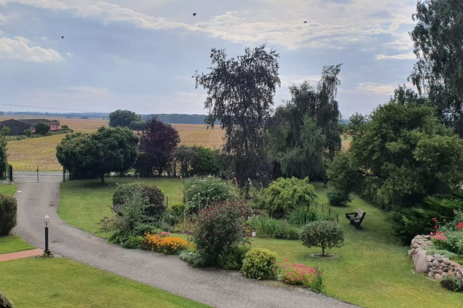 Zweedorf-Gebieden zomer 1km