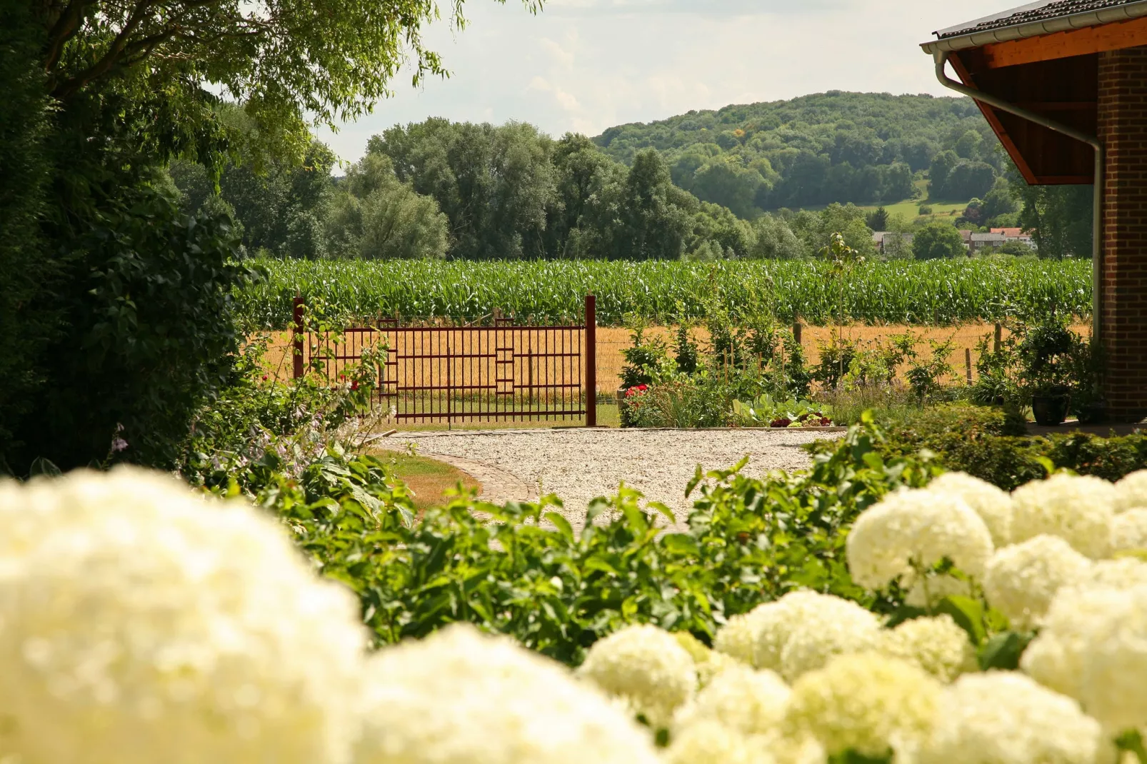 Hoeve in gunne winkel 2-Uitzicht zomer