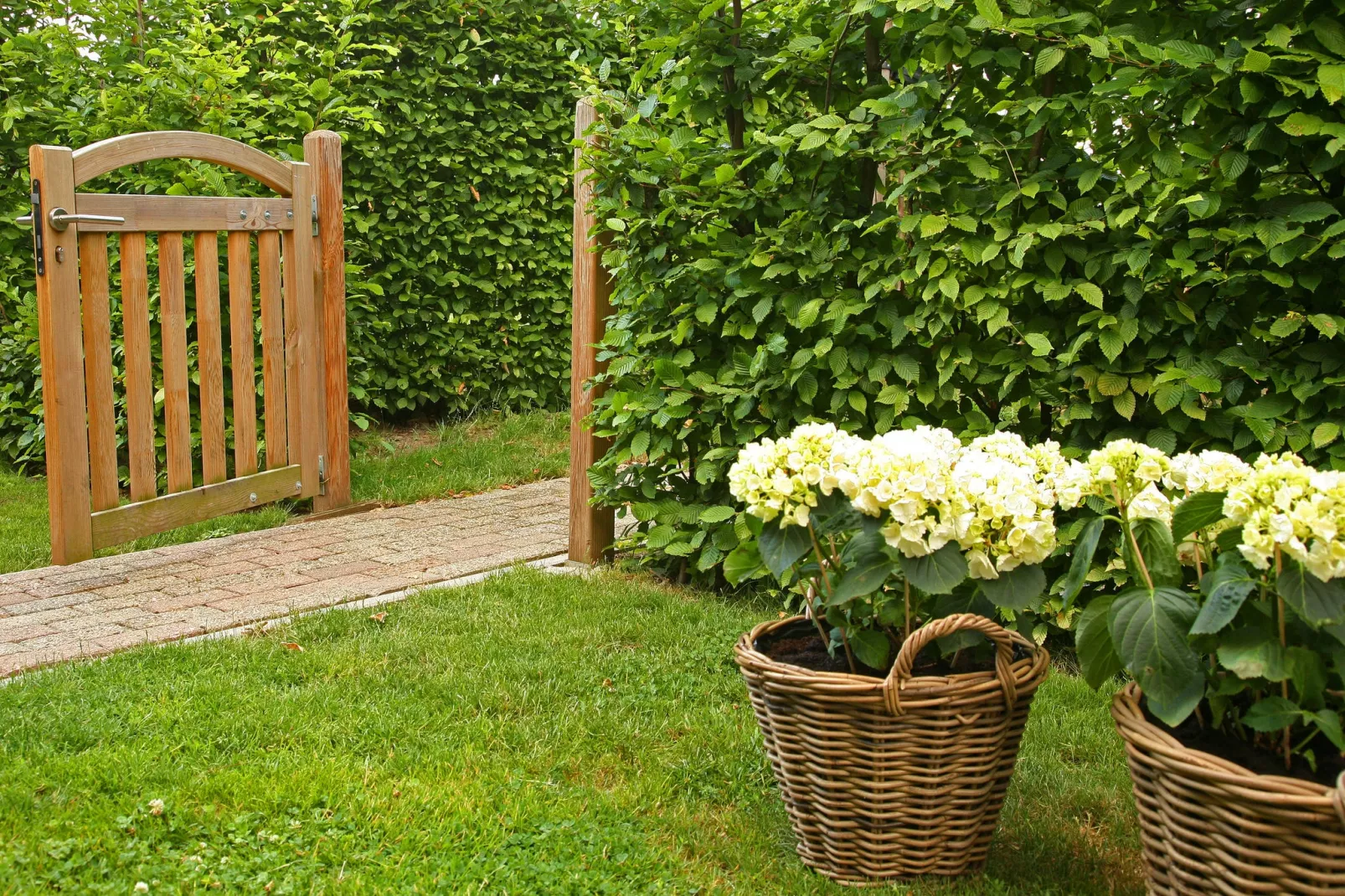 Hoeve in gunne winkel 2-Tuinen zomer