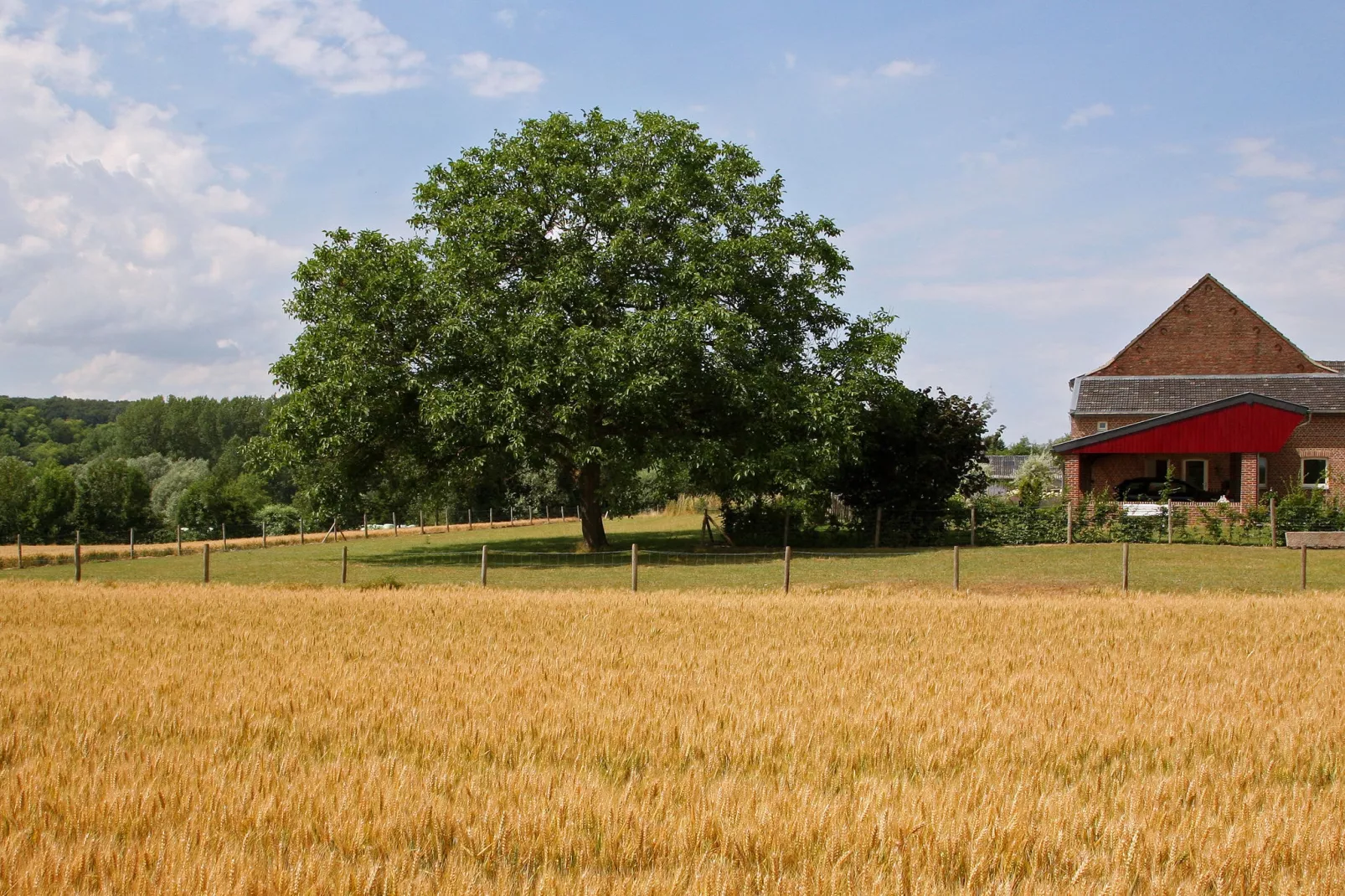 Hoeve in gunne winkel 2-Gebieden zomer 1km