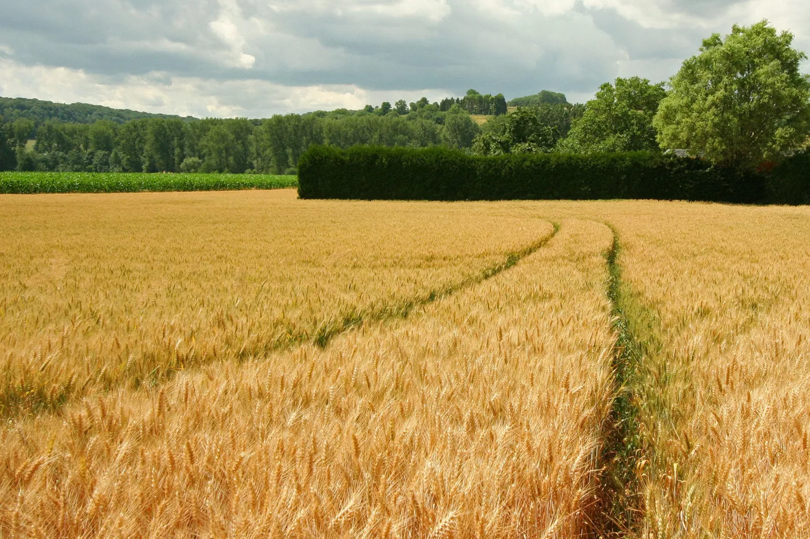 Hoeve in gunne winkel 1 en 2-Gebieden zomer 1km