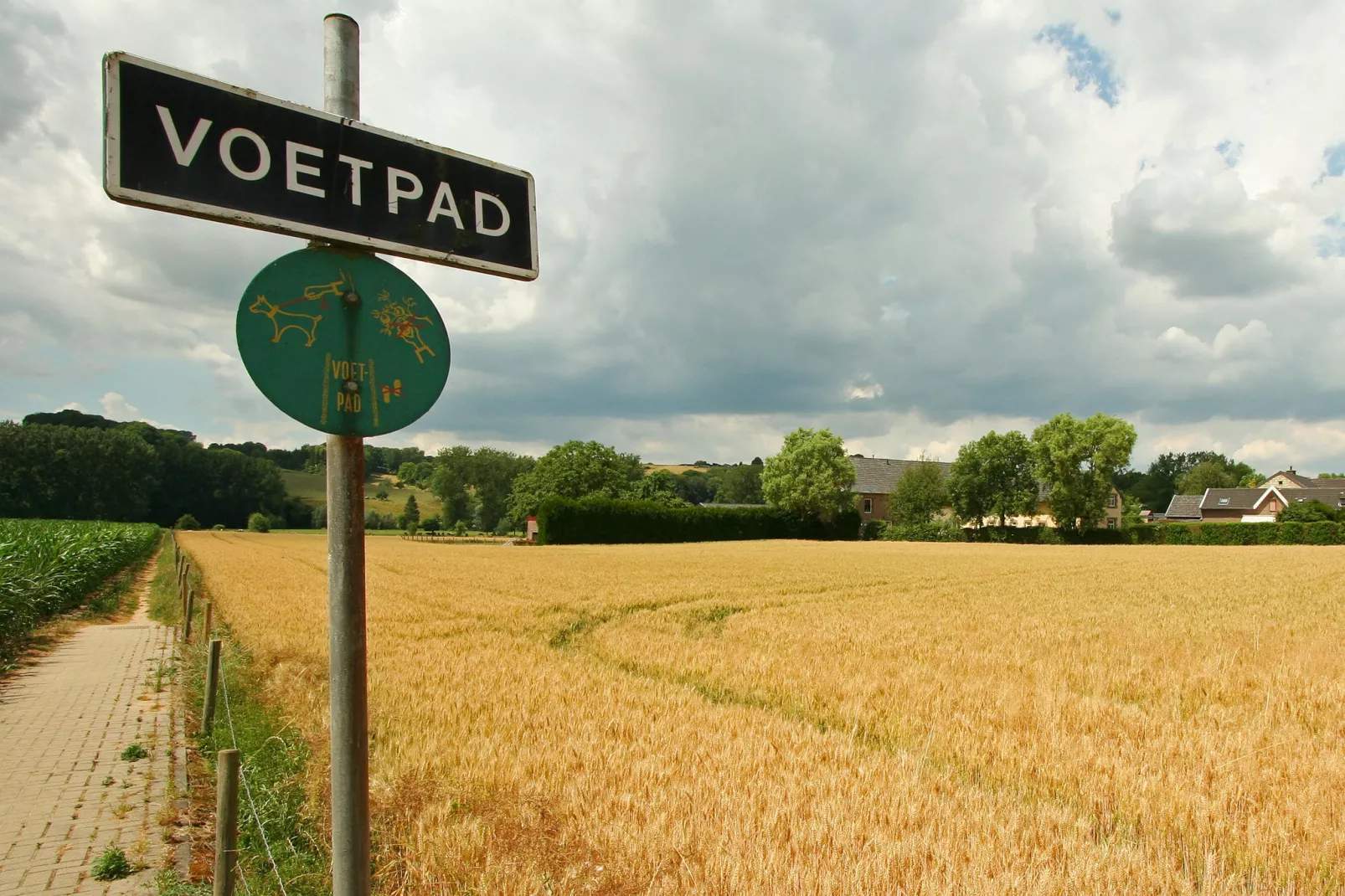 Hoeve in gunne winkel 1 en 2-Gebieden zomer 1km