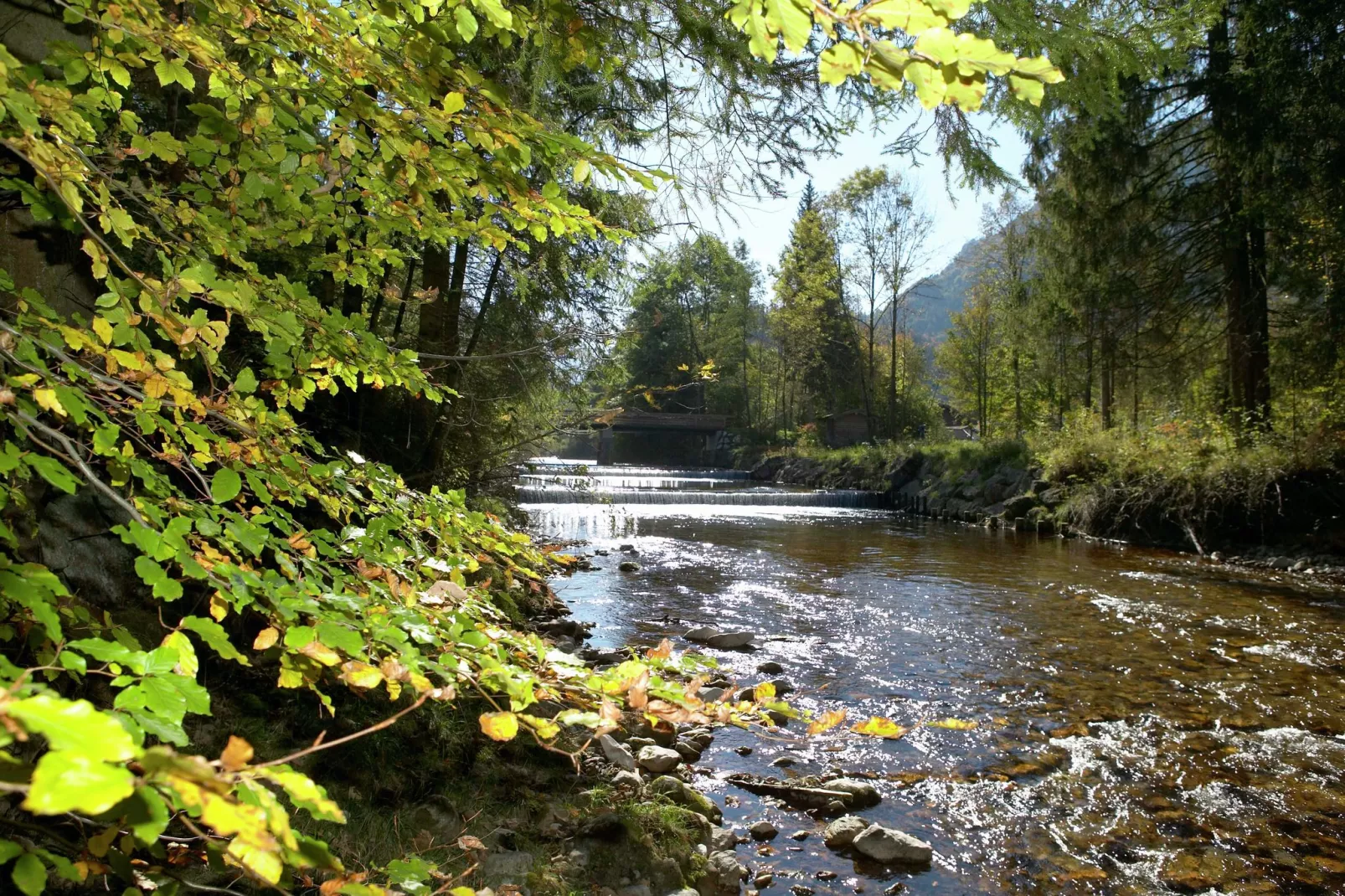 Moderne vakantiewoning in Ruhpolding met zwembad-Gebieden zomer 5km