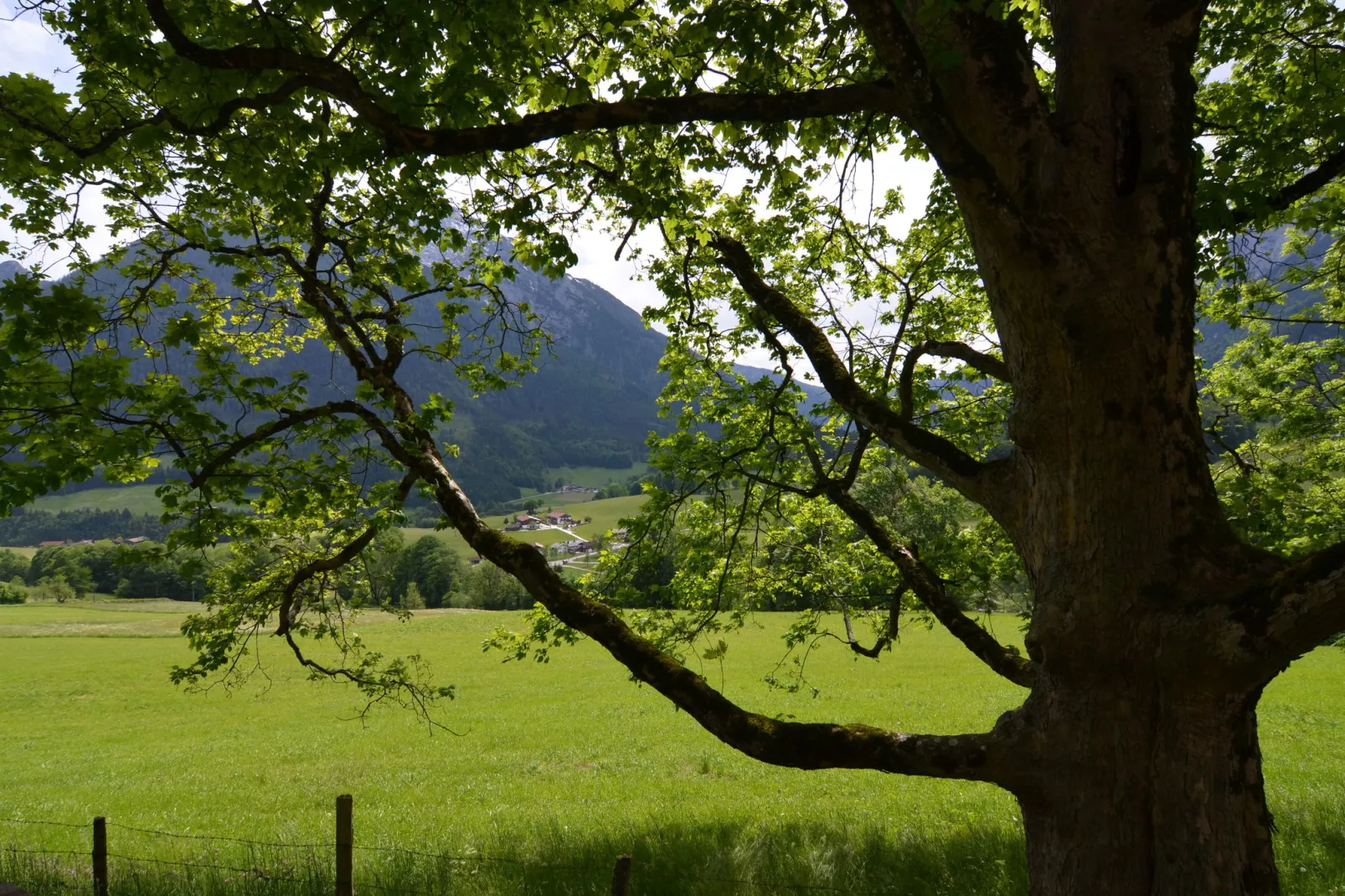 Schönau am Königssee-Gebieden zomer 5km