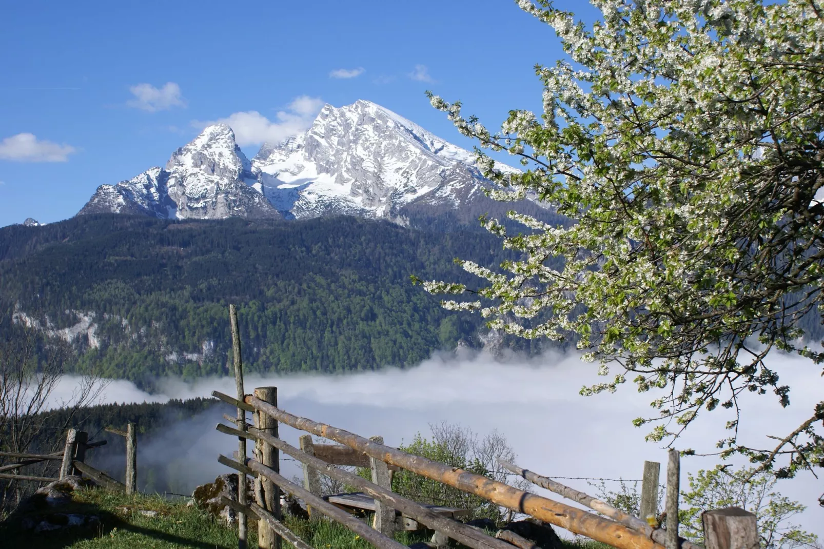 Schönau am Königssee-Gebieden zomer 20km