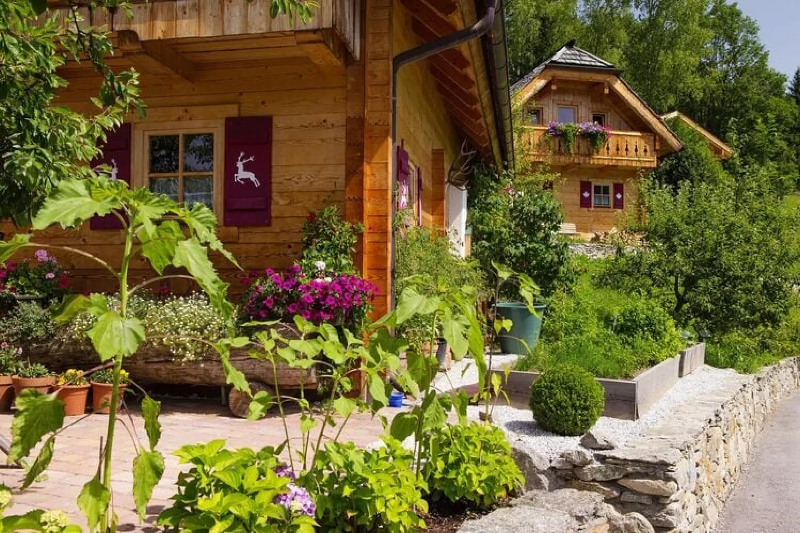 Naturdorf Oberkühnreit - Naturdorf Chalet - 4 Personen-Buitenkant zomer