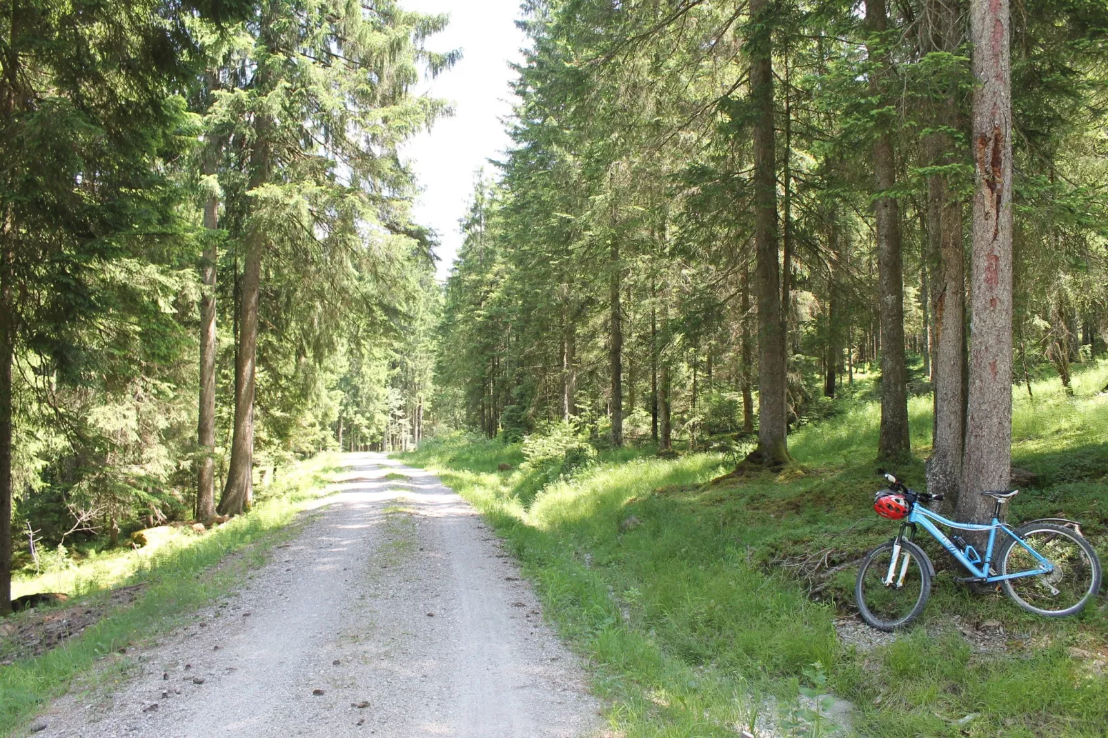 Trauchgau-Gebieden zomer 1km