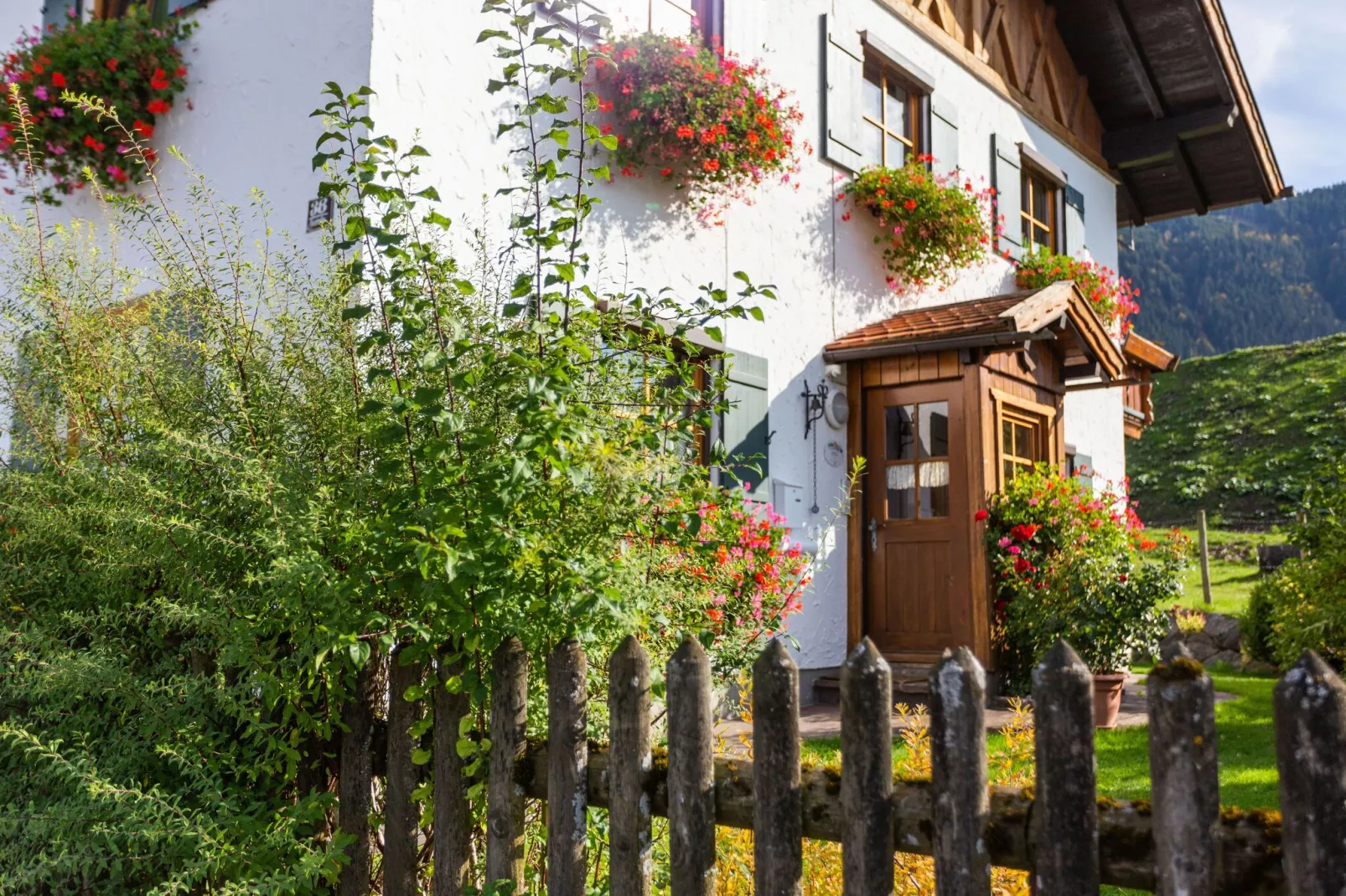 Trauchgau-Tuinen zomer